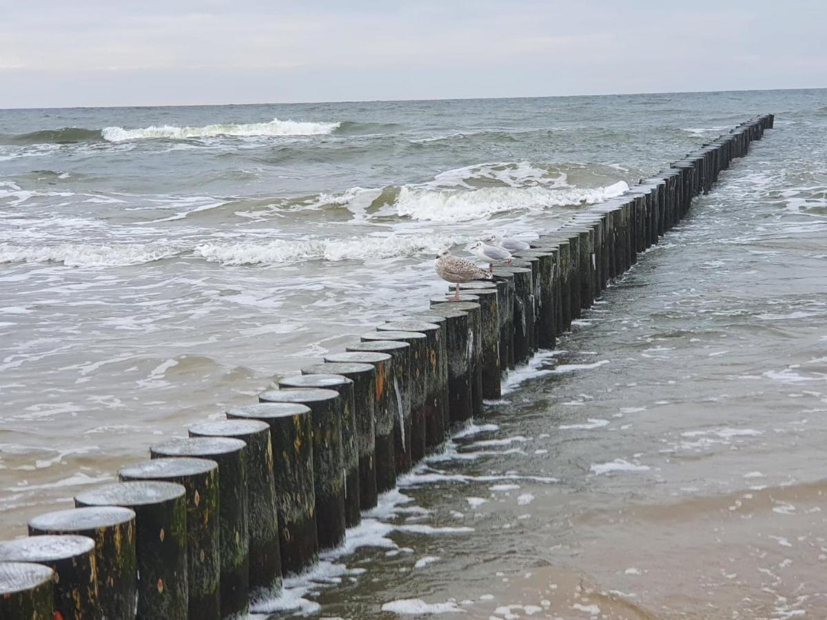 Baltic Cliff Apartamenty Niechorze Kültér fotó